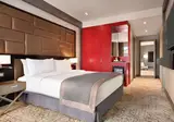 Wyndham Grand Tbilisi foto 21