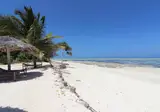 Nest Style Beach Zanzibar foto 5