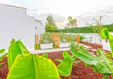 Todoque foto 27