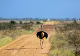 13 daagse safari Tsavo & Taita foto 2