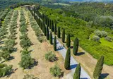 Tenuta Castellare di Tonda foto 3