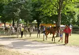 Camping Le Ranch Des Volcans foto 2