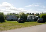 Camping Rabjerg Mile foto 22
