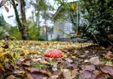 Bungalowpark Het Verscholen Dorp foto 14