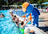 Thermalpark Dunajská Streda foto 3