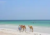 Neptune Paradise Beach Resort & Spa foto 5