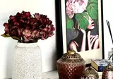 Eleana foto 28