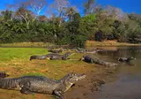 Explore Impressive Brazil foto 2