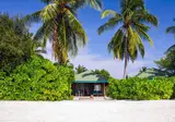 Canareef Resort Maldives foto 6