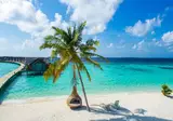 Furaveri Island Resort & Spa foto 14