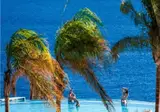 Concorde El Salam Sharm El Sheikh Front Hotel foto 3