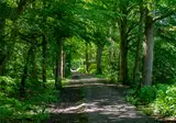 Het Amsterdamse Bos foto 21
