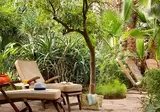 Les Jardins De La Medina foto 19