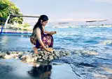Puri Bagus Lovina foto 8
