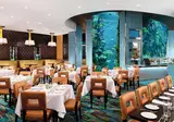 Hotel Golden Nugget Las Vegas foto 7