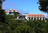 La Palma Romantica foto 1