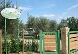 Agricamping Romita foto 6