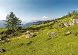Vakantiepark Alpenchalets Flachauer Gutshof foto 31