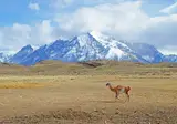 Discover the Carretera Austral in Chile and Argentina foto 4