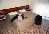 Hotel River Palace foto 29