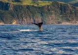 8 daagse fly drive São Miguel foto 4