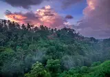 The Kayon Valley Resort foto 14