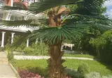 Hotel Elit Palace & Spa foto 17