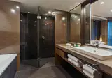 Sheraton Grand Tbilisi Metechi Palace foto 18