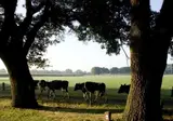 Onthaasten in de Achterhoek foto 9