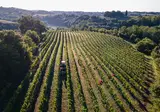 Il Podere di Marfisa foto 15
