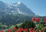 Hotel Jungfrau Lodge foto 29