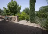 Il Poggio degli Olivi foto 21