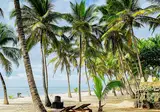 The Coconut Beach Boutique Lodge & Spa foto 6