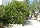Tenuta Belvedere foto 22