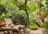 Les Jardins de la Médina foto 19