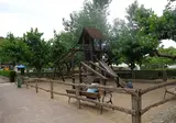 Castell Montgri foto 18