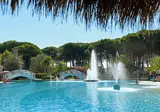 Pino Mare foto 16