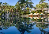 Amathus Beach Hotel Limassol foto 4