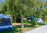 Flower Camping Cap Finistère foto 10