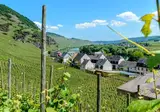 Ferienhaus Scheid foto 25