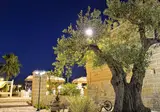 Masseria Tenuta Quintino foto 18