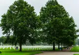 Zuid-Limburg en de buurlanden, Valkenburg foto 10