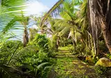Hilton Seychelles Labriz Resort & Spa foto 26