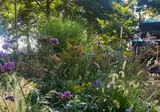 Hotel Restaurant Ruimzicht foto 33