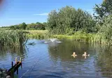 Camping De Toffe Peer foto 12
