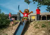 De Hondsrug foto 11