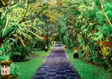 Puri Raja Hotel Legian Bali foto 5