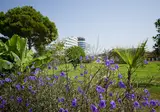 Raymar Hotels Antalya foto 11