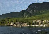 Whales, Bears and Vancouver Island foto 5