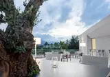 Zante Sun Resort foto 2